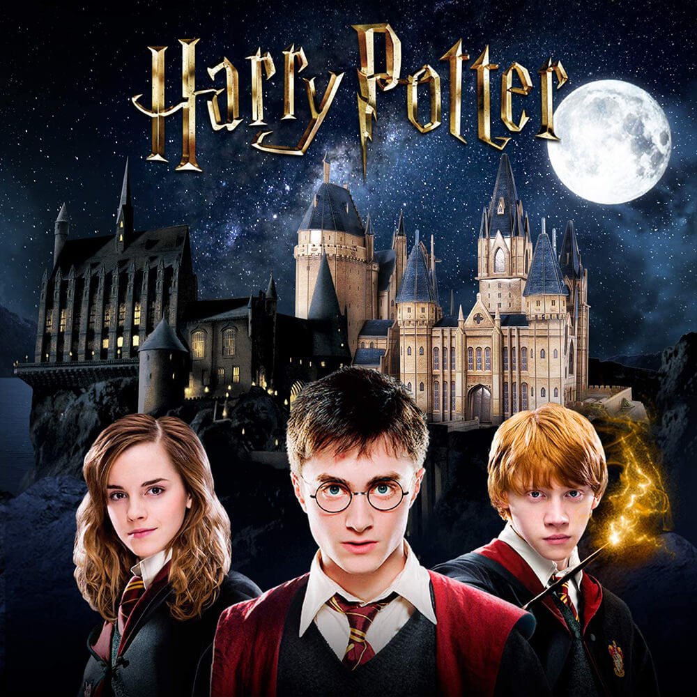 HARRY POTTER 3D PUZZLE – Puzzl Wood